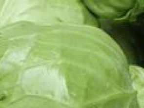 坪地農(nóng)產(chǎn)品配送 助力深圳生活品質升級