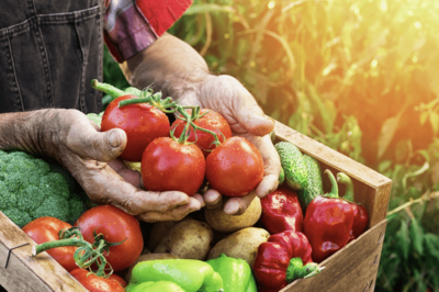 小目標定了！我國農(nóng)產(chǎn)品加工業(yè)邁向32萬億新征程