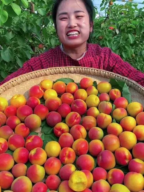 守護舌尖上的安全與品質 優質農產品的時代價值與未來之路