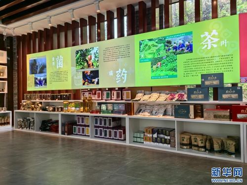 念好“生態(tài)經(jīng)” 打造新業(yè)態(tài)——廣西金秀瑤寨鄉(xiāng)村振興見(jiàn)聞