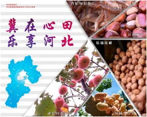 燕趙豐饒，品牌興農(nóng) 河北特色農(nóng)產(chǎn)品區(qū)域品牌建設(shè)之路